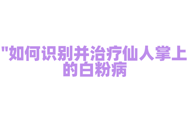 "如何识别并治疗仙人掌上的白粉病？"